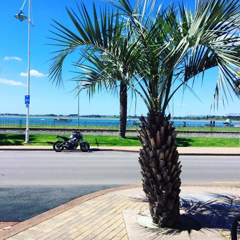 Harbourside City Backpackers Tauranga Extérieur photo